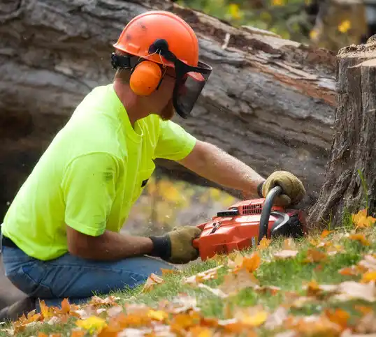 tree services Skippers Corner